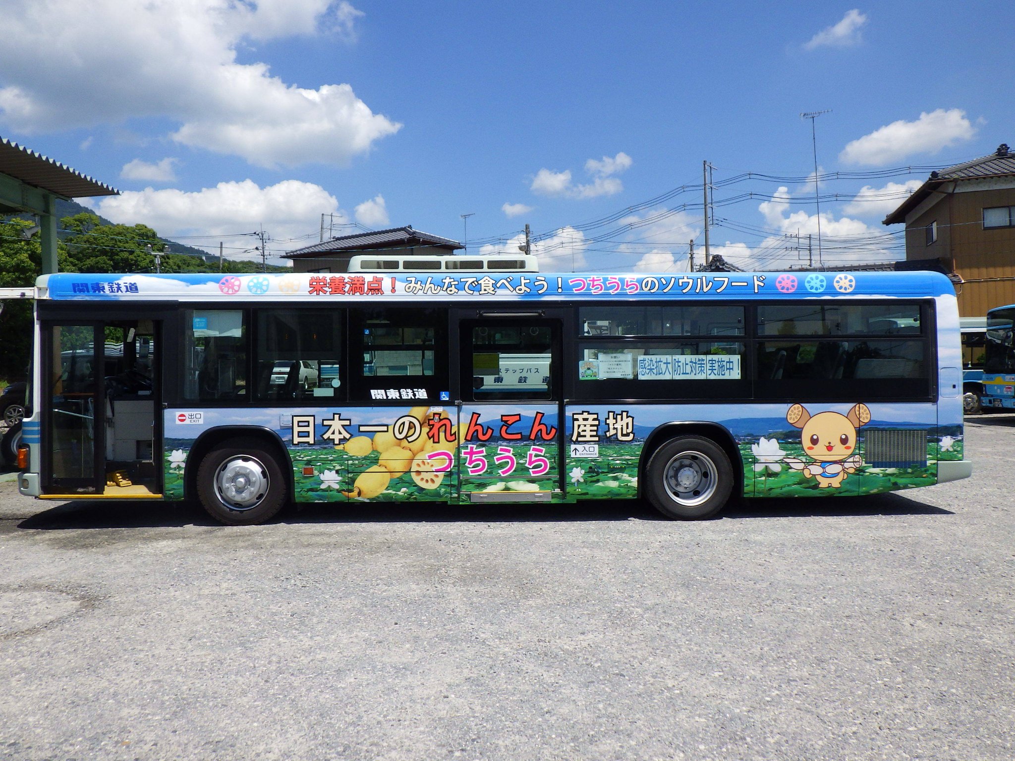 ラッピングバス走行中!日本一のれんこん産地つちうらpage-visual ラッピングバス走行中!日本一のれんこん産地つちうらビジュアル
